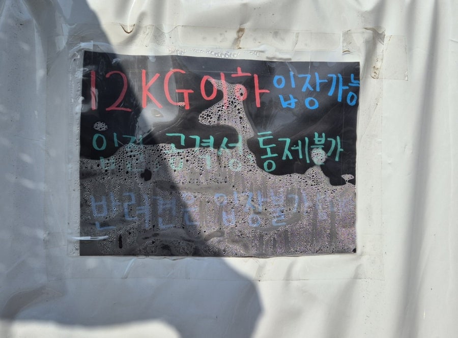시흥 호두네놀이터: 450평 천연잔디 애견카페 후기 — 사진 5