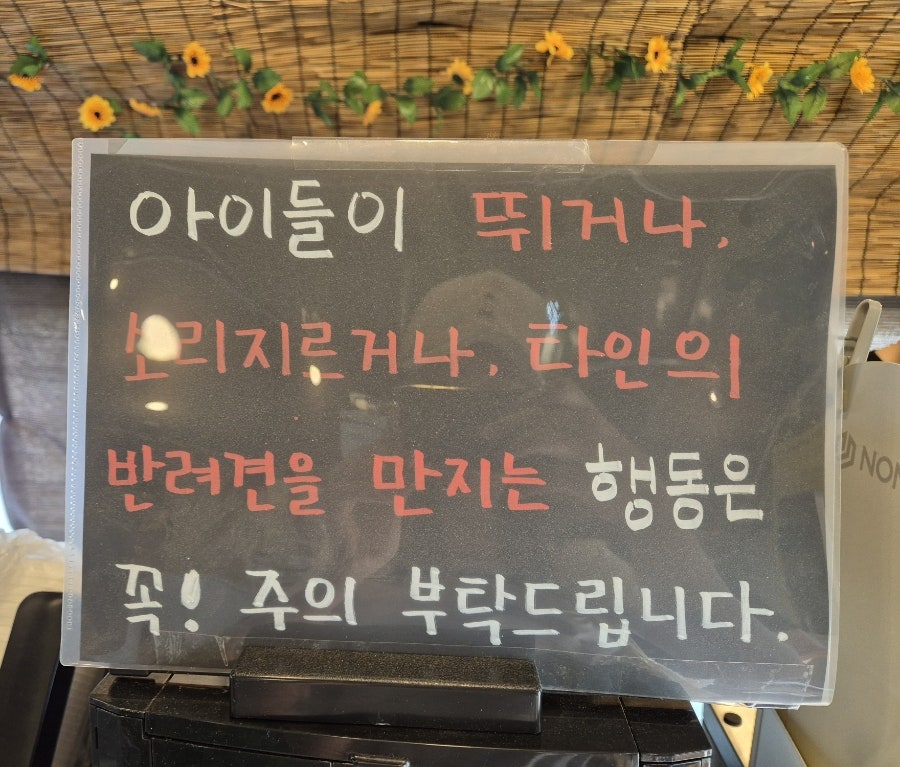 시흥 호두네놀이터: 450평 천연잔디 애견카페 후기 — 사진 4