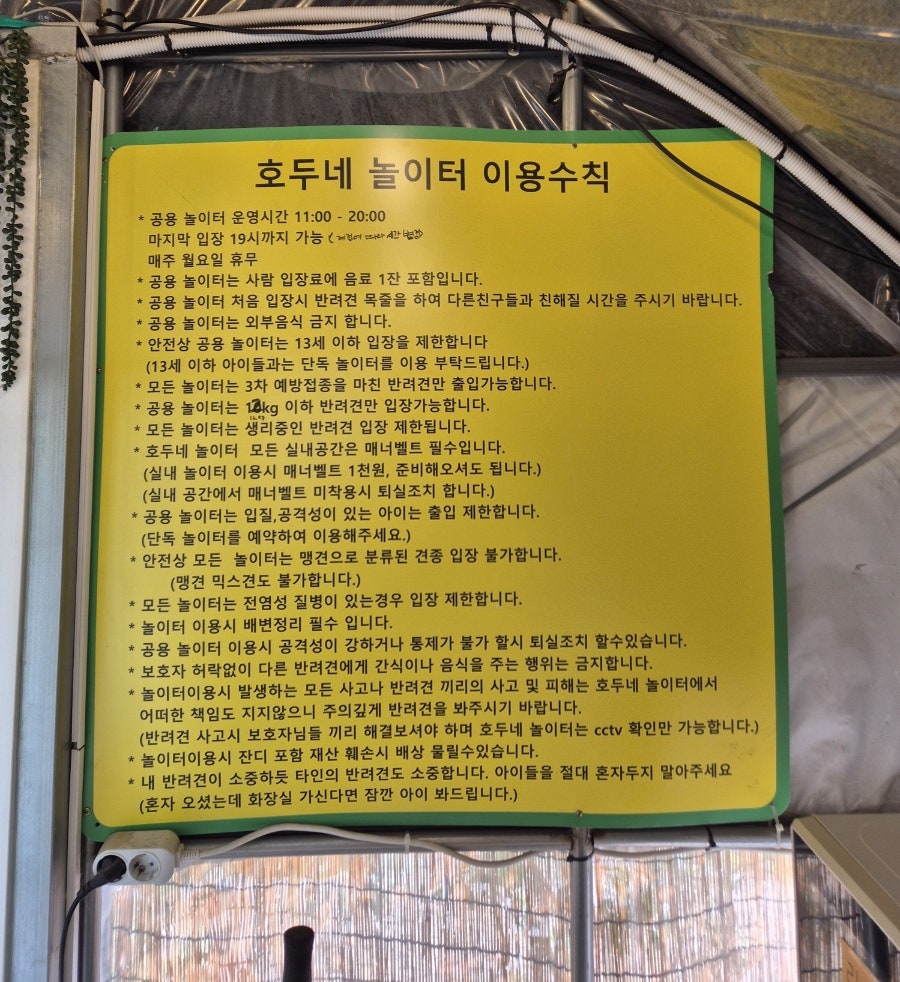 시흥 호두네놀이터: 450평 천연잔디 애견카페 후기 — 사진 3