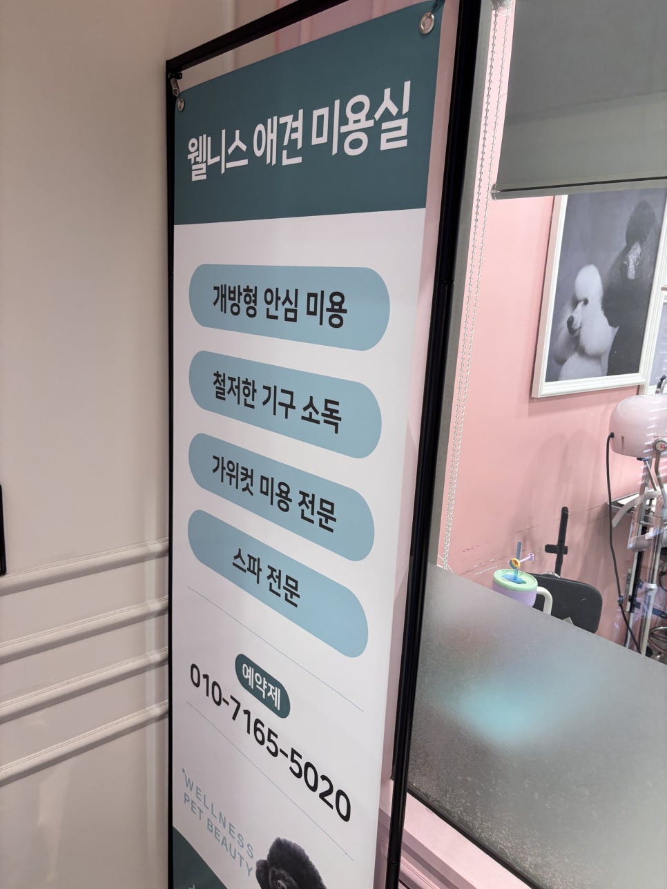 고양 스타필드 애견미용: 말티푸 발톱 관리 비용과 후기 — 사진 2