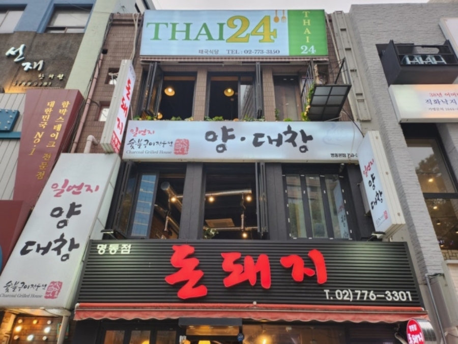 타이24 사진 6