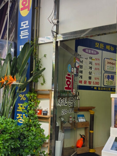 회 사가고싶은날 사진 5