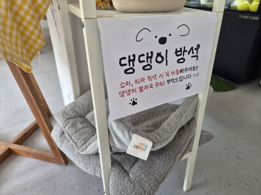 부평 애견동반 카페 '몽실숲' 브런치 후기 — 사진 11