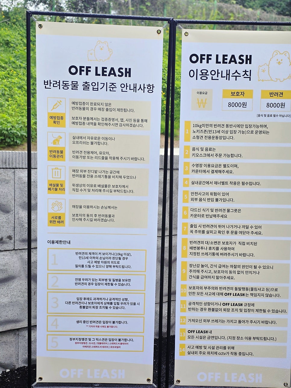 파주 애견카페 오프리쉬독파크: 비 오는 날에도 신나는 물놀이 — 사진 4