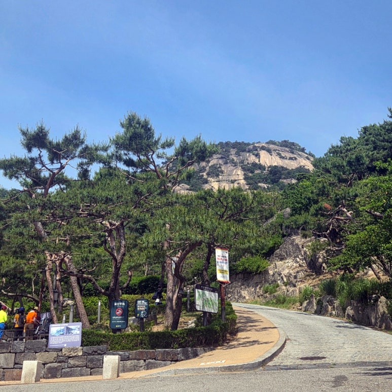 서울은마꽈배기 사진 6