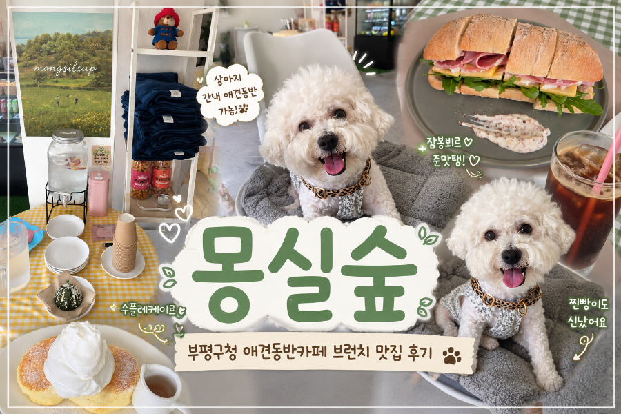 부평 애견동반 카페 '몽실숲' 브런치 후기