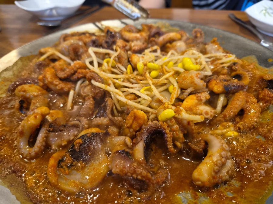 서해쭈꾸미 사진 6