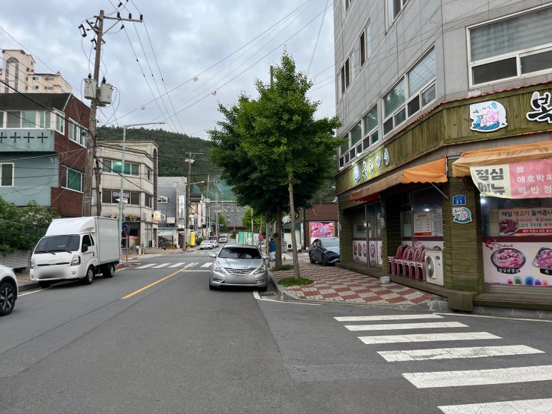 복도야지 사진 3