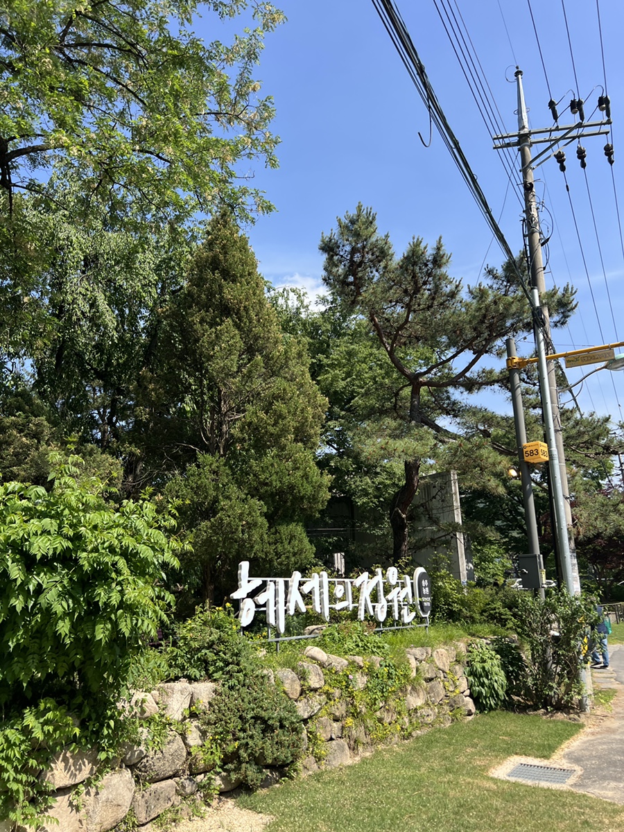 양주 네이처독 애견카페, 4000평 규모 수영장 후기 — 사진 4