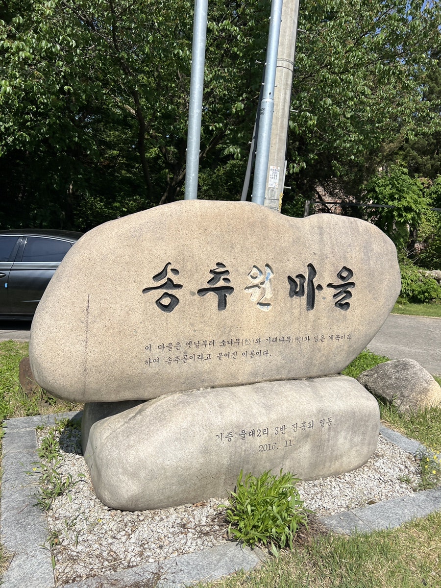 양주 네이처독 애견카페, 4000평 규모 수영장 후기 — 사진 6