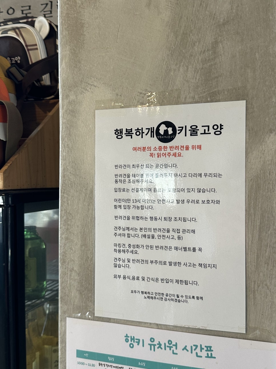 서울 성북구 애견카페 행복하게키울고양 방문 후기 — 사진 2