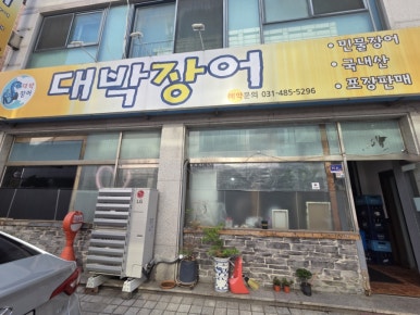 대박장어 사진 4