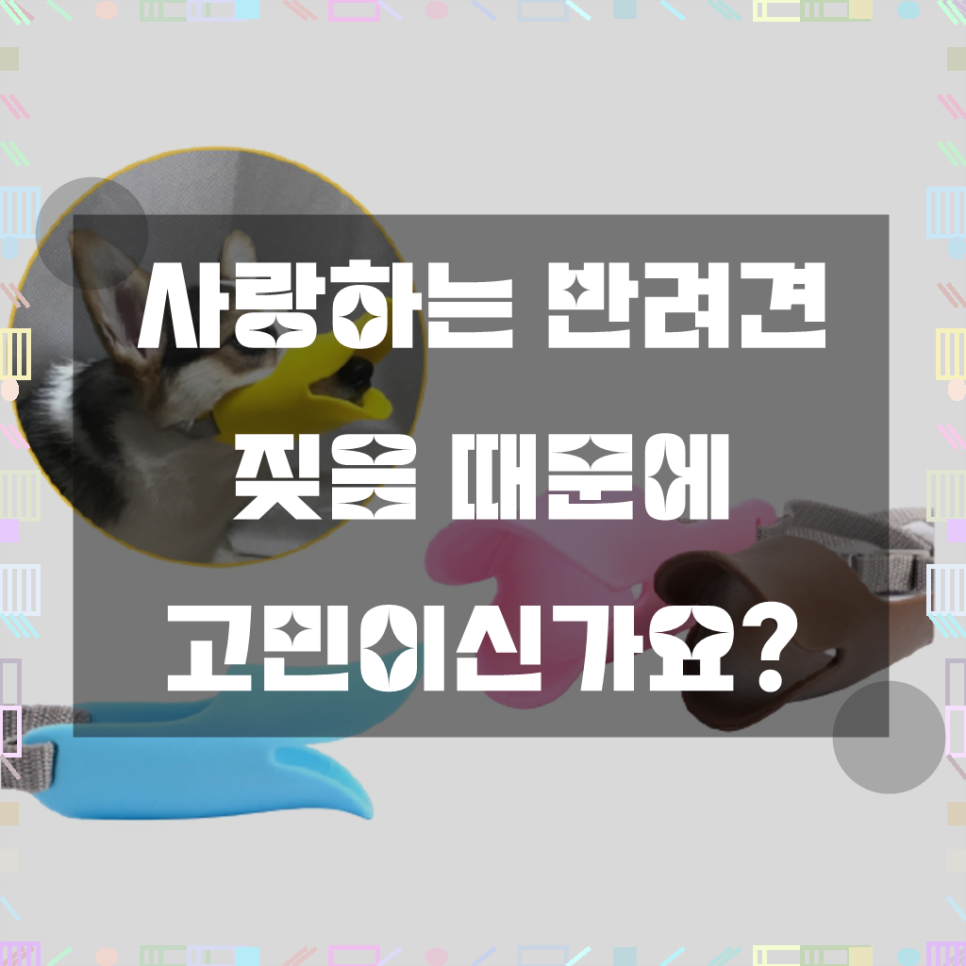 강아지 짖음 방지 입마개와 클릭커 훈련 효과 — 사진 3