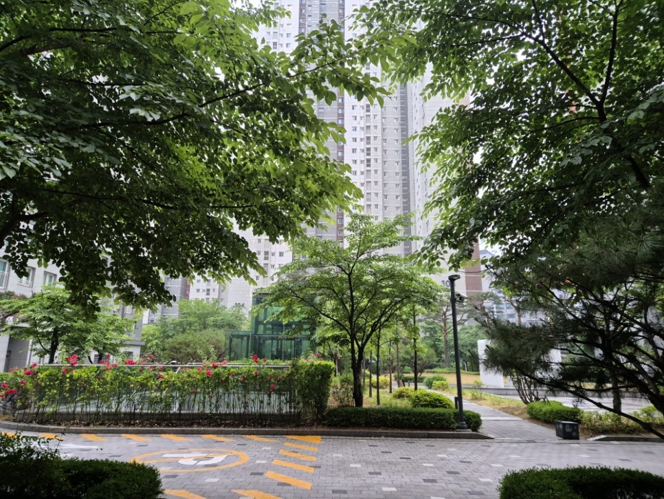 오늘통닭 안산중앙점 사진 7