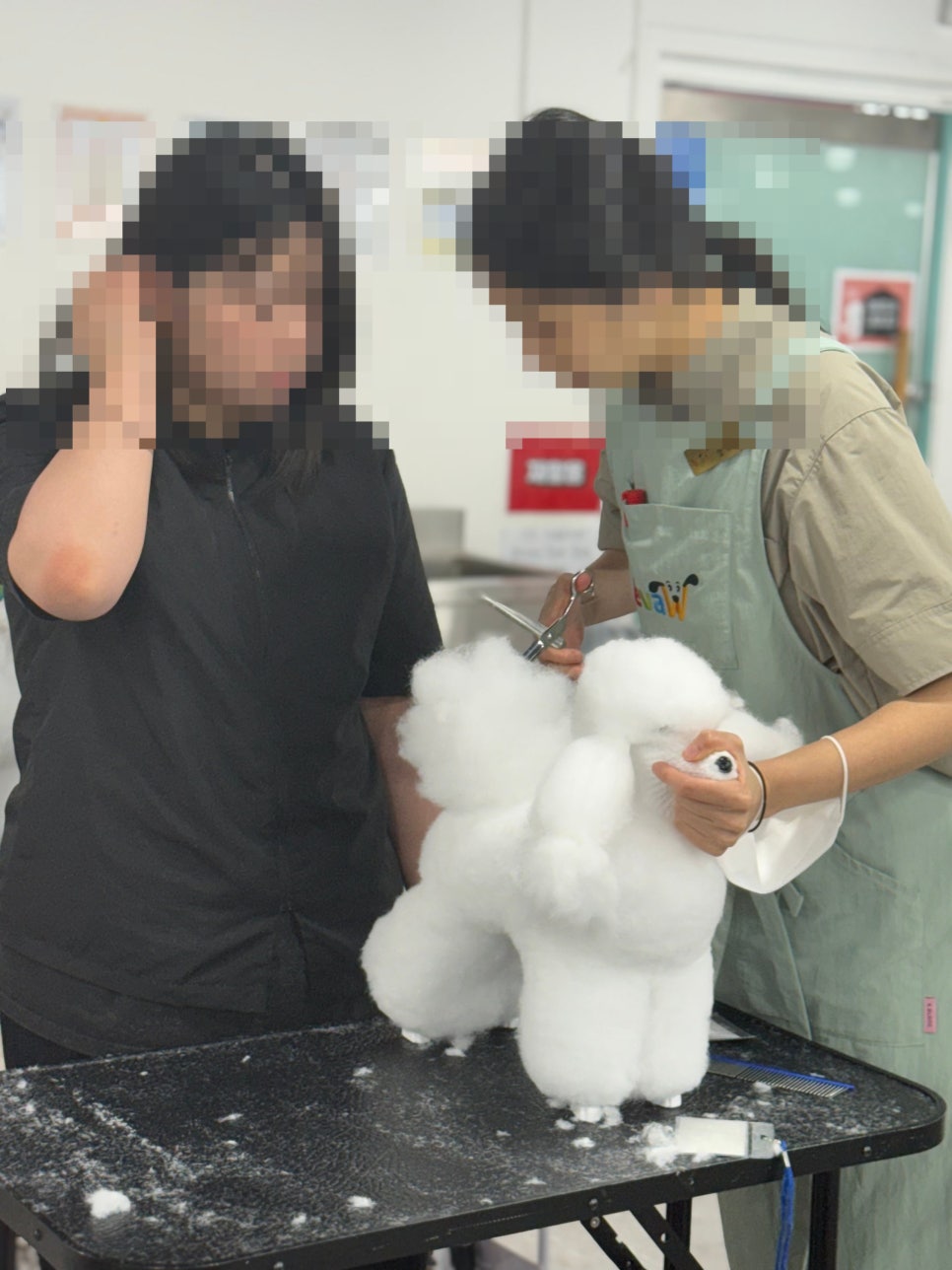 노원 애견미용학원, 초보도 취업까지 성공하는 과정 — 사진 7