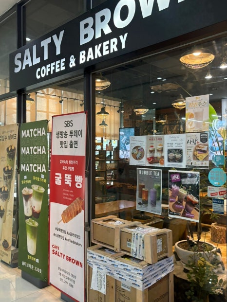 솔티브라운 사진 3