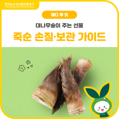 봄끝자락 별미🌿 죽순 손질·보관 꿀팁 바로가기