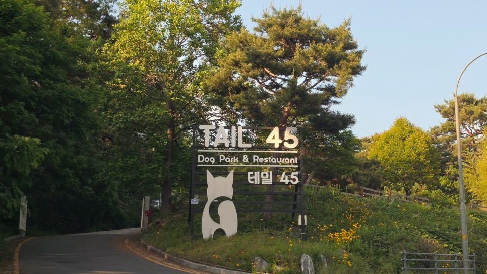 용인 테일45 프라이빗B 대관 후기: 대형견 놀이터 추천 — 사진 2