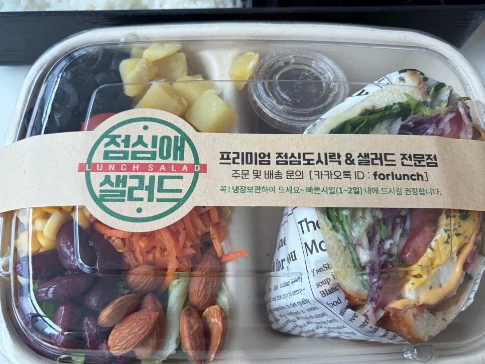 점심애 사진 8