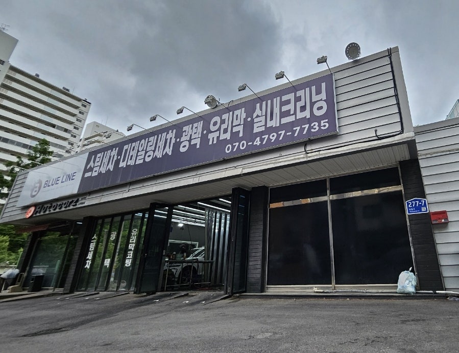 수원 강아지 차량 실내세차: 블루라인 디테일링 후기 — 사진 20