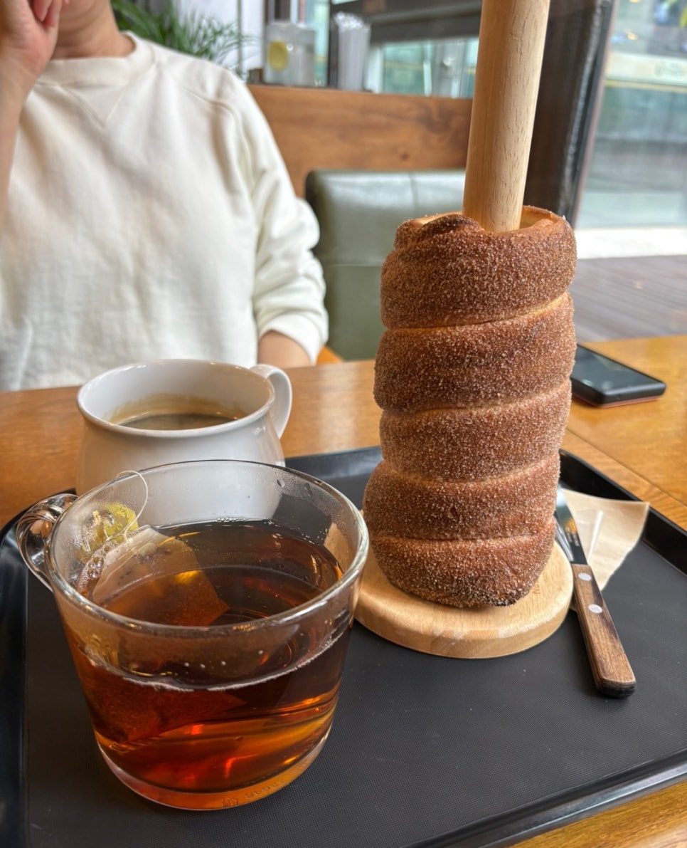 솔티브라운 사진 4