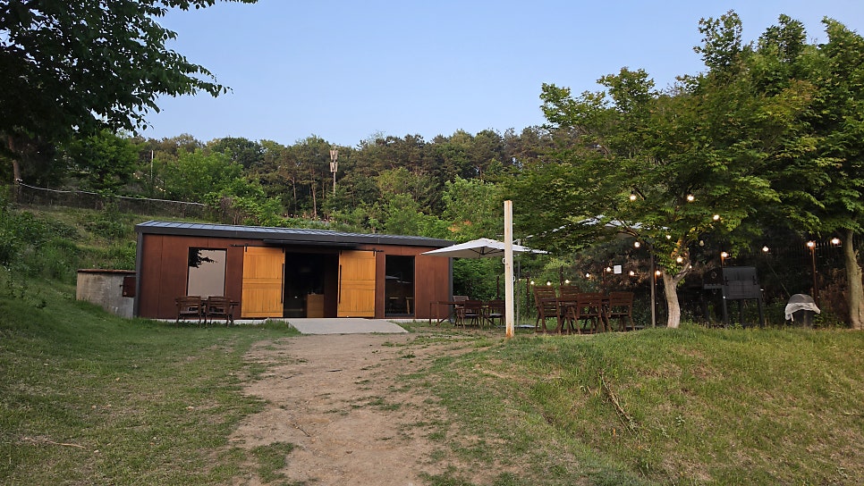 용인 테일45 프라이빗B 대관 후기: 대형견 놀이터 추천 — 사진 19