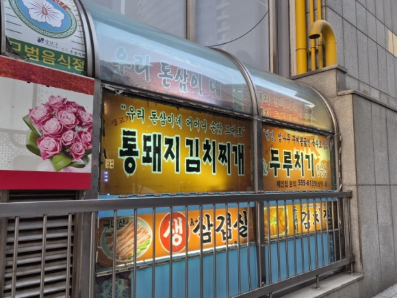 우리돈삼이 사진 3