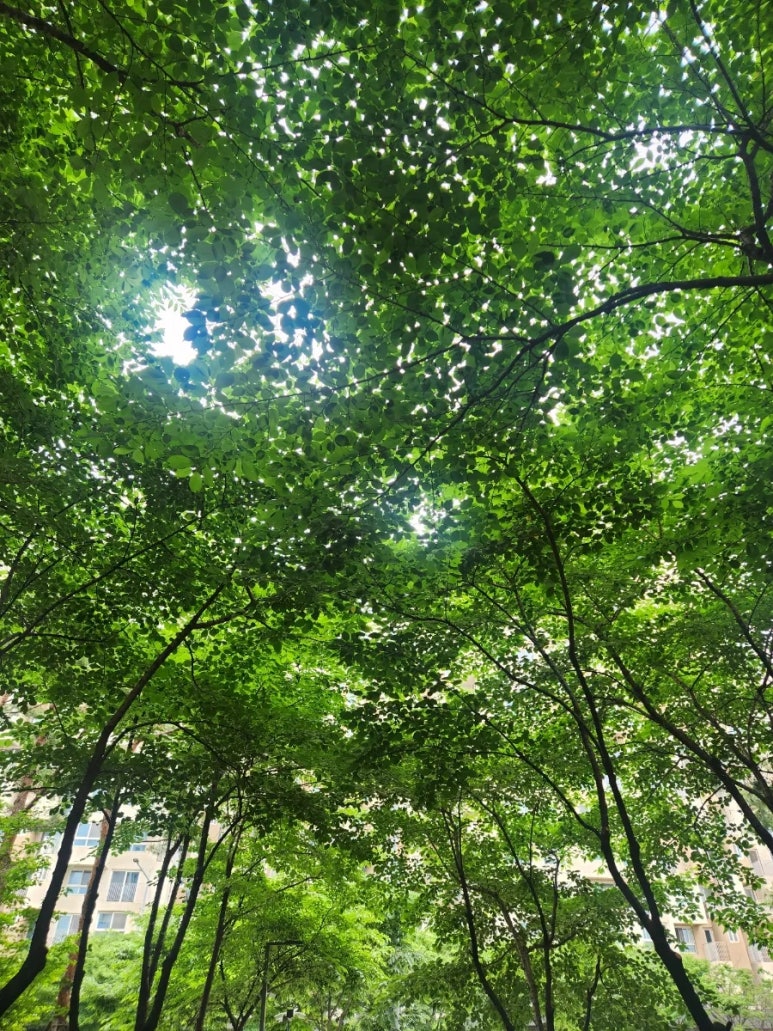 육회바른연어 이대역점 대표 사진