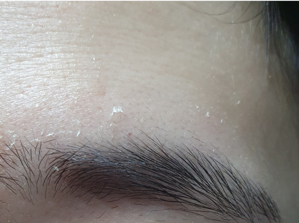 대만 타이베이 패키지 여행, 휴대용 샤워필터로 쾌적하게 즐기기 — 사진 4