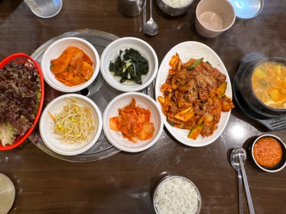 우리돈삼이 사진 4