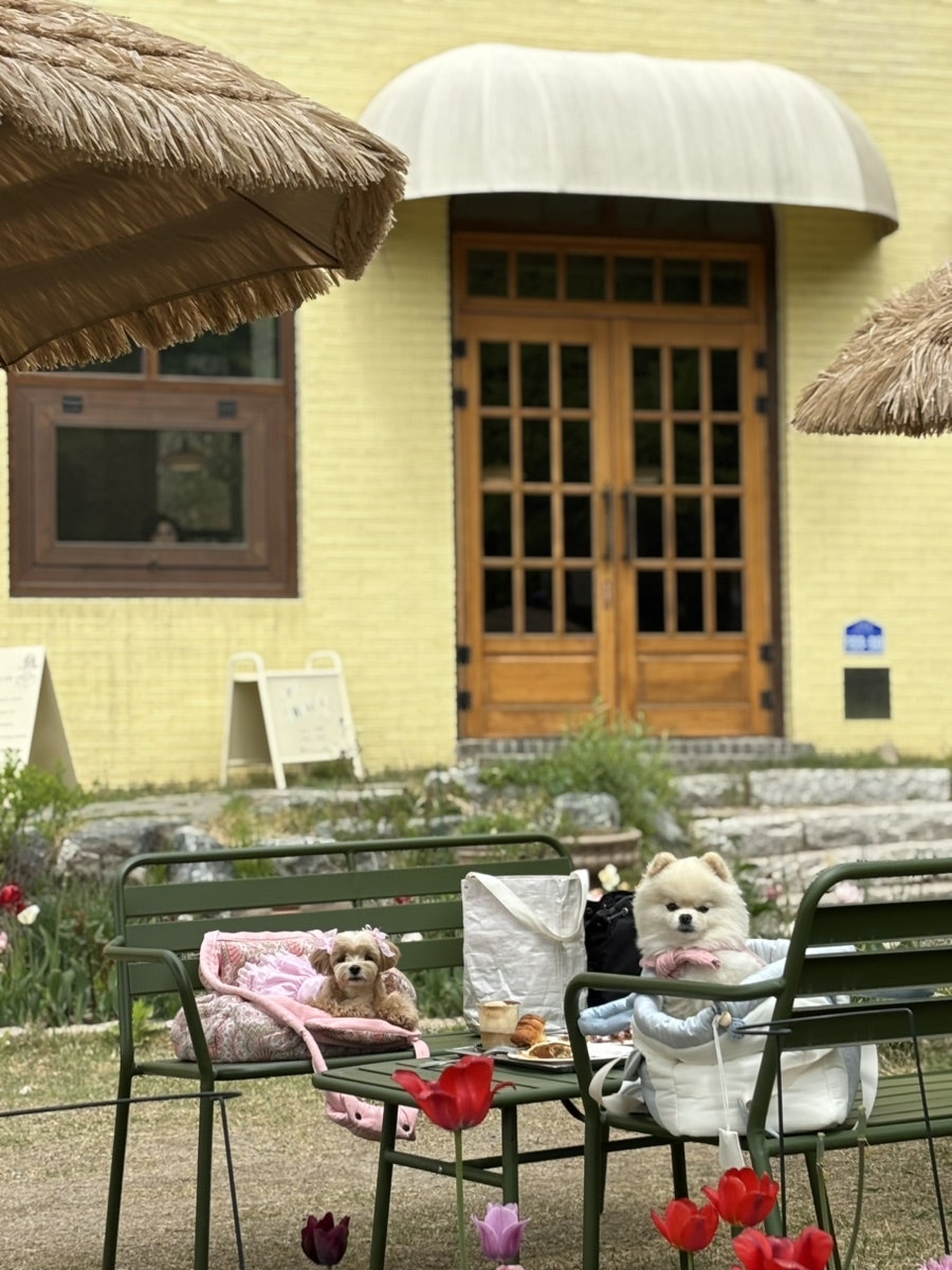 고양 휘우커피: 기차 지나가는 애견동반 감성 카페 — 사진 2
