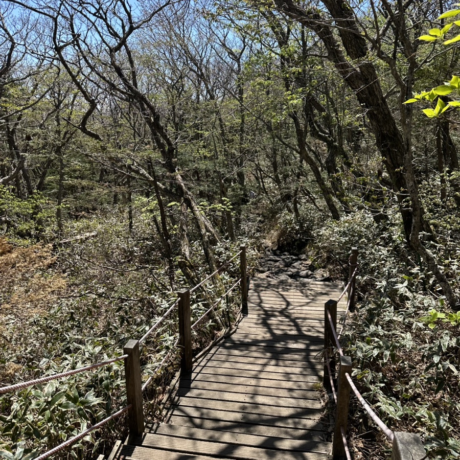 철수네숯불갈비 함덕점 사진 4