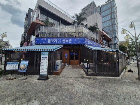 물고기선수촌 사진 3