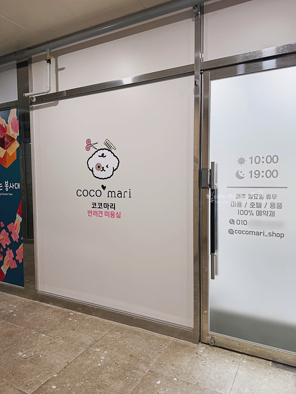 대구 동구 포메라니안 가위컷 전문 코코마리 미용 후기 — 사진 4