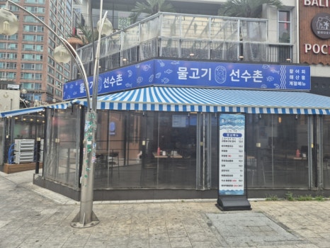 물고기선수촌 사진 6