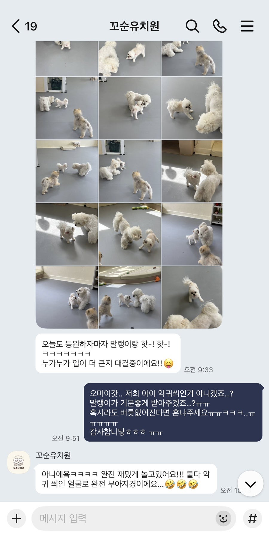 꼬순유치원 송파점 강아지 등원 후기 및 비용 — 사진 2