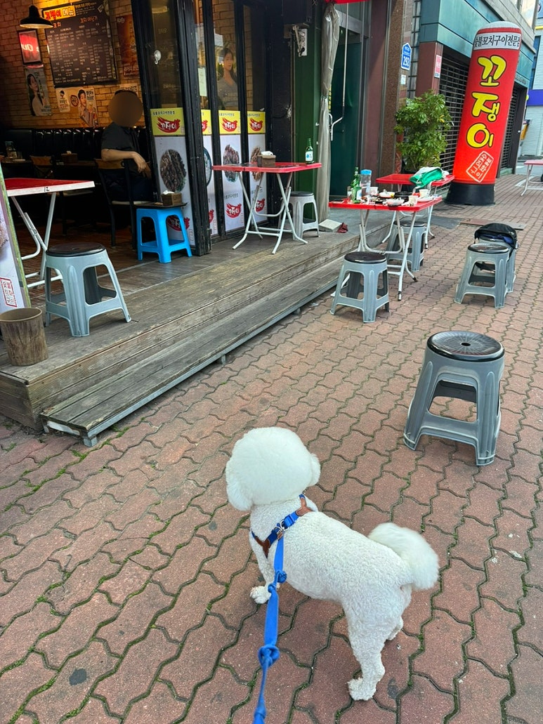 꼬쟁이 석촌점 사진 2