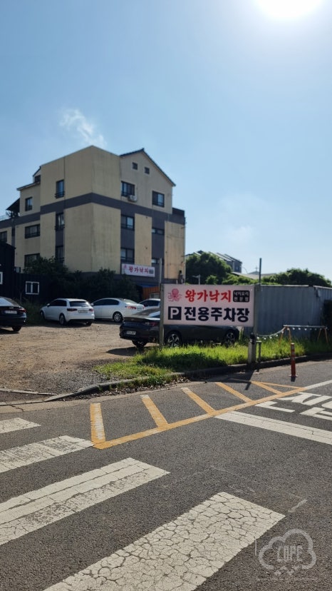 왕가낙지 사진 7