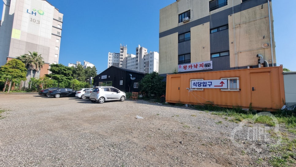 왕가낙지 사진 5