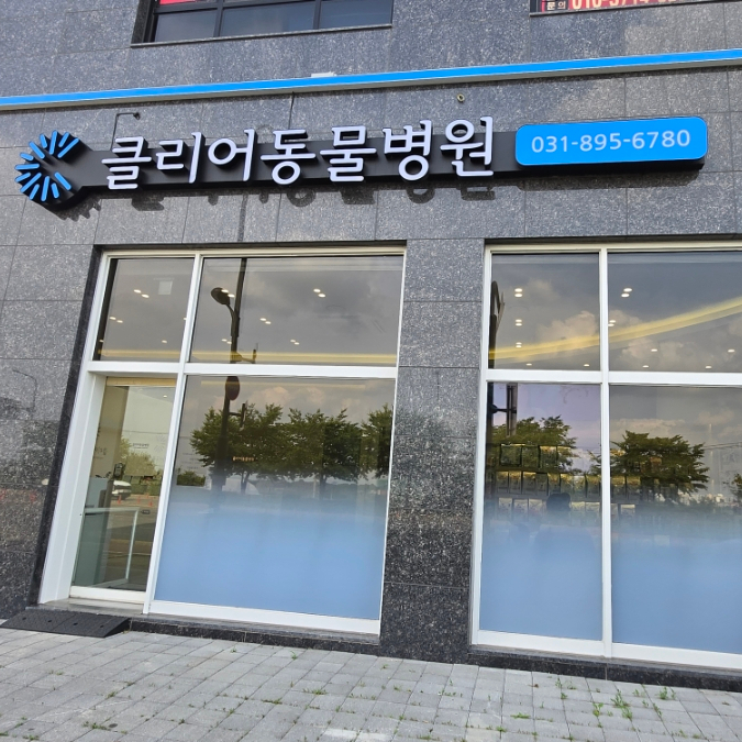 수원 클리어동물병원 강아지 안과검진 비용 및 후기
