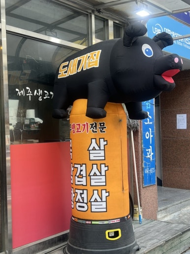 도새기집 사진 2