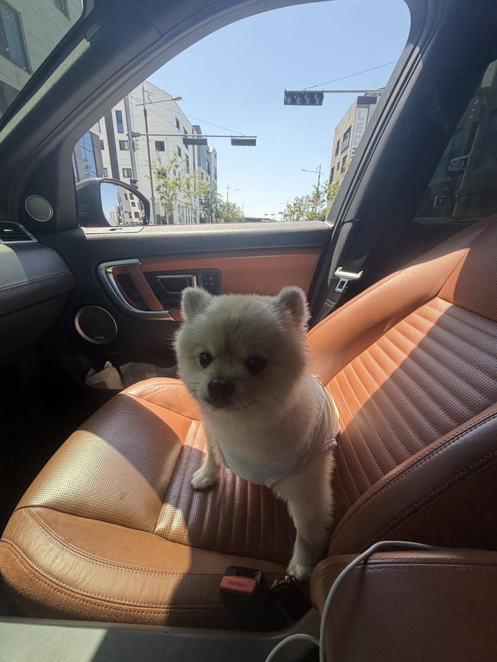 귀여운 소현이