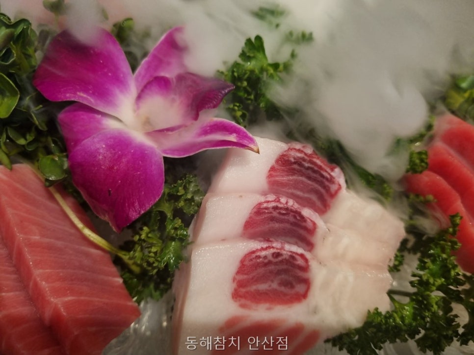 동해참치 사진 3