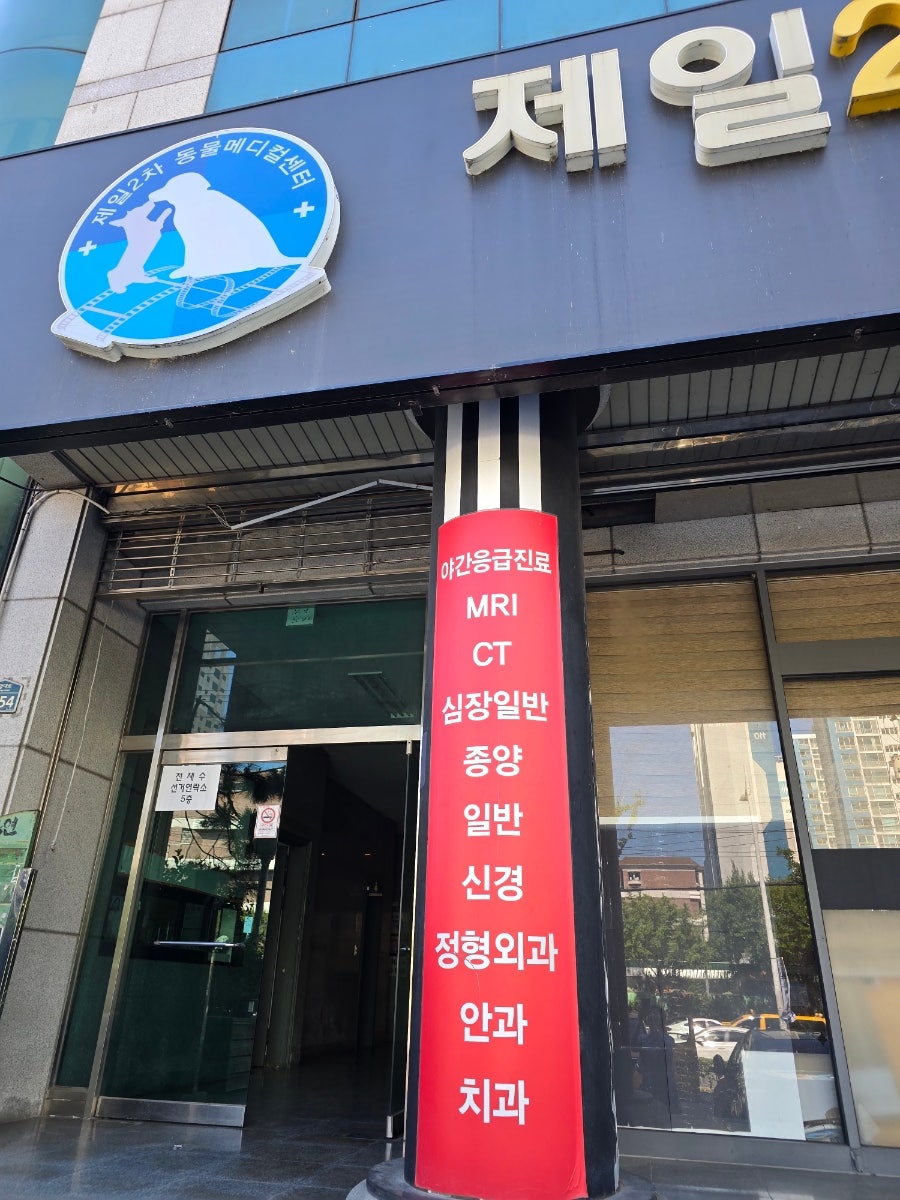 부산 24시 동물병원, 강아지 뇌척수염 치료 비용 및 후기 — 사진 3