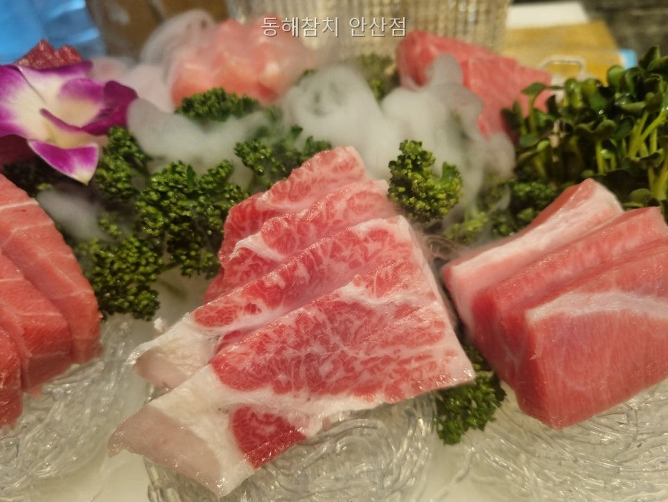 동해참치 사진 2