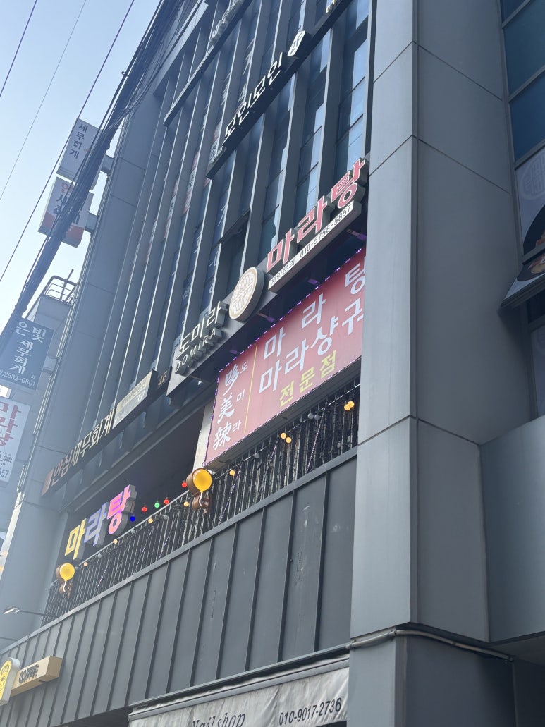 도미라 사진