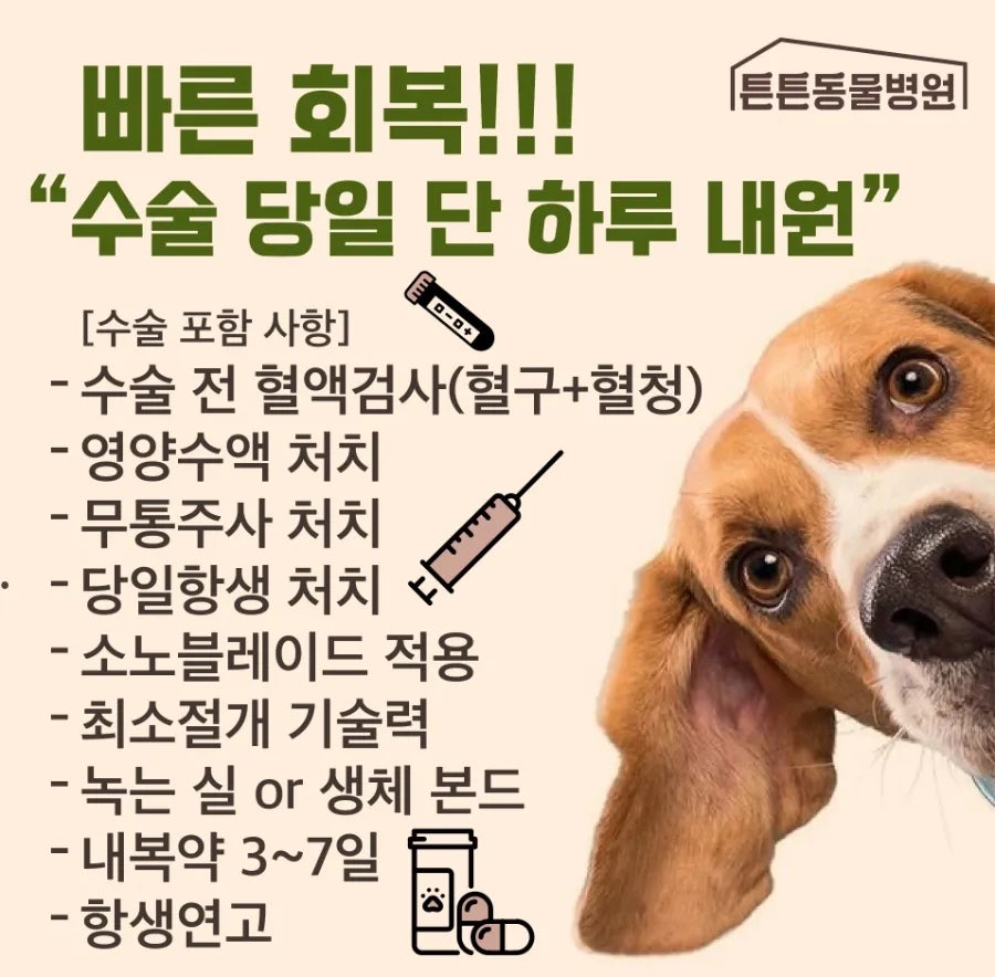 위례 성남 강아지 중성화 수술 비용 및 병원 추천 — 사진 7