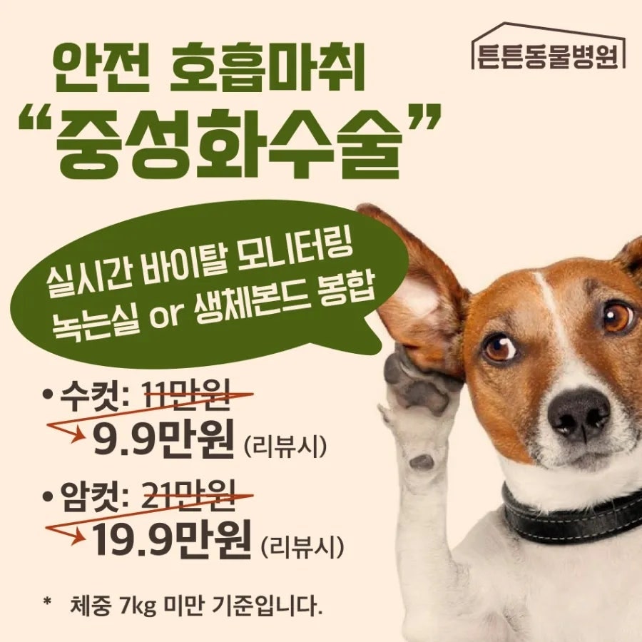 위례 성남 강아지 중성화 수술 비용 및 병원 추천 — 사진 6