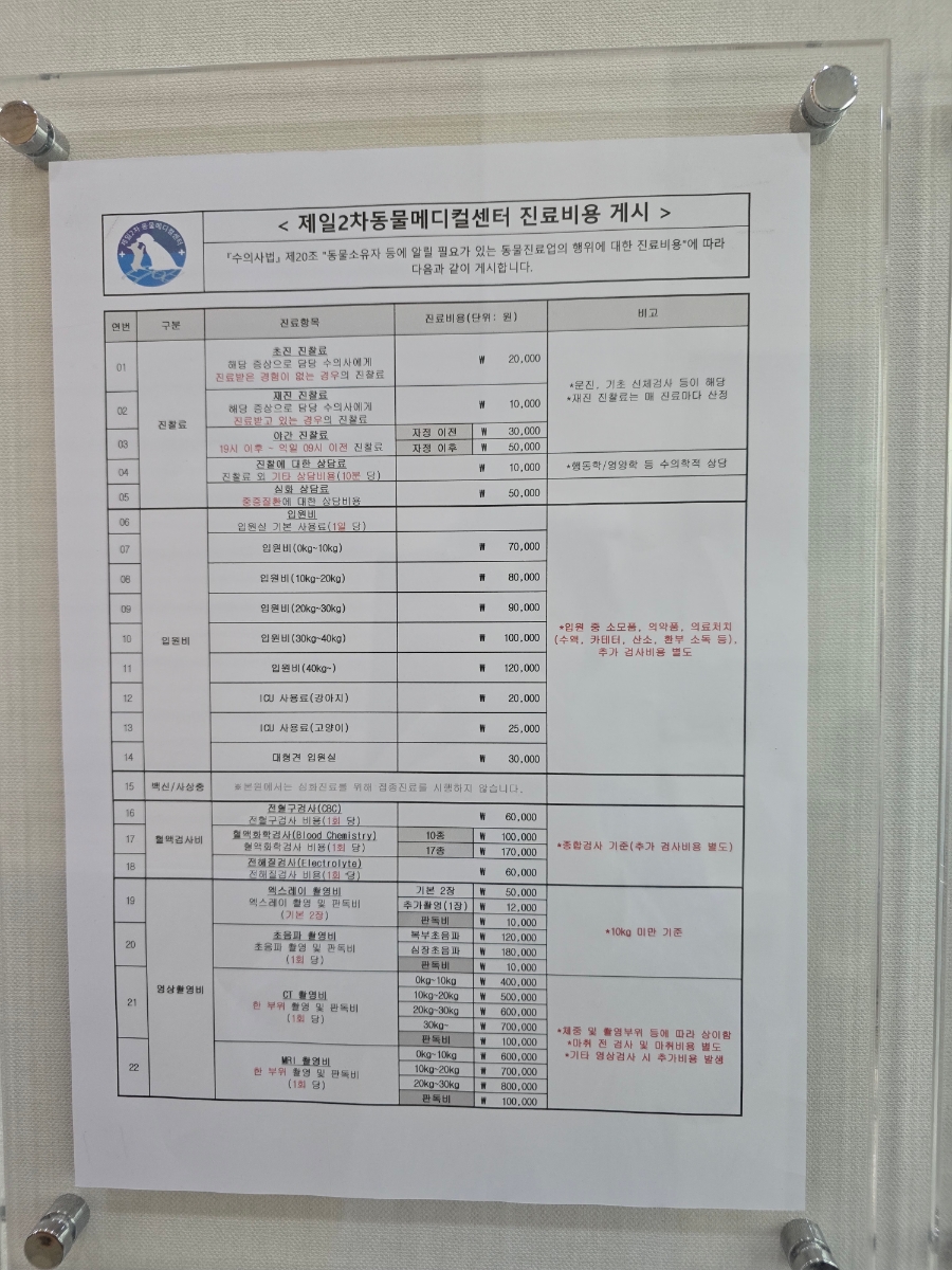 부산 24시 동물병원, 강아지 뇌척수염 치료 비용 및 후기 — 사진 7