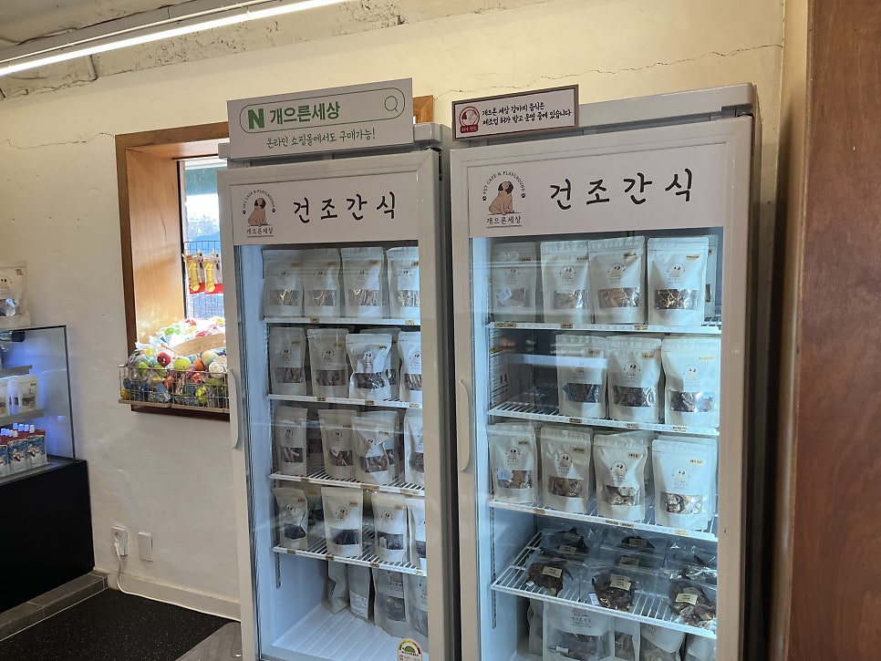 김포 애견운동장 카페 '개으른세상' 방문 후기 — 사진 6